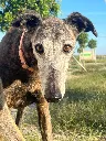 9af3f5bb-b397-4a40-a722-b8ea7b20cb10.webp