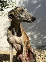 def08c94-38b5-425b-9dc5-020a19993336.webp
