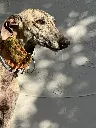 da1b3042-5496-4419-ac96-95377fbeee09.webp
