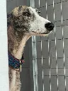 unnamed (6).webp
