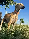 unnamed (6).webp