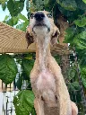 unnamed (9).webp