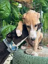 unnamed (13).webp