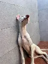unnamed (3).webp