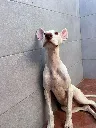 unnamed.webp