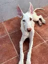 unnamed (5).webp