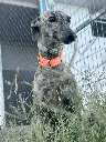 d0974166-d578-445a-bdb9-ec04f8493d05.webp
