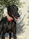 unnamed (4).webp