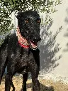 unnamed (2).webp