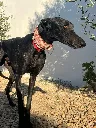 unnamed (3).webp