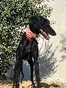 unnamed.webp