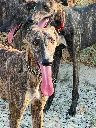 unnamed (4).webp