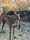 unnamed (2).webp