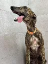 unnamed (9).webp