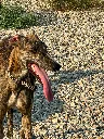 unnamed (1).webp