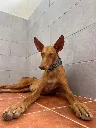 unnamed (3).webp