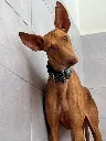 unnamed (1).webp
