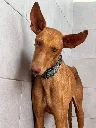 unnamed (5).webp