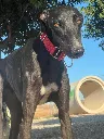 unnamed (7).webp