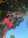 unnamed (9).webp