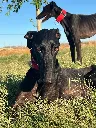 unnamed (12).webp