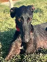 unnamed (13).webp