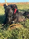 unnamed (6).webp