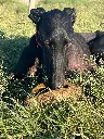 unnamed (7).webp