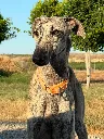 unnamed (2).webp