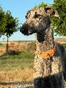 unnamed (5).webp