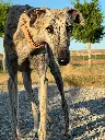 unnamed (4).webp