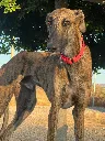 unnamed (8).webp