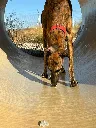 unnamed (2).webp