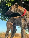 unnamed (6).webp