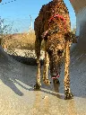 unnamed (3).webp