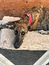 unnamed (7).webp