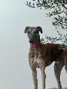 unnamed (14).webp