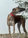 unnamed (5).webp