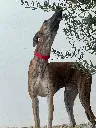 unnamed (7).webp