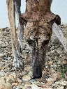 unnamed (13).webp