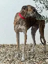 unnamed (9).webp