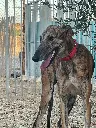 unnamed (3).webp