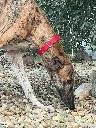unnamed (4).webp