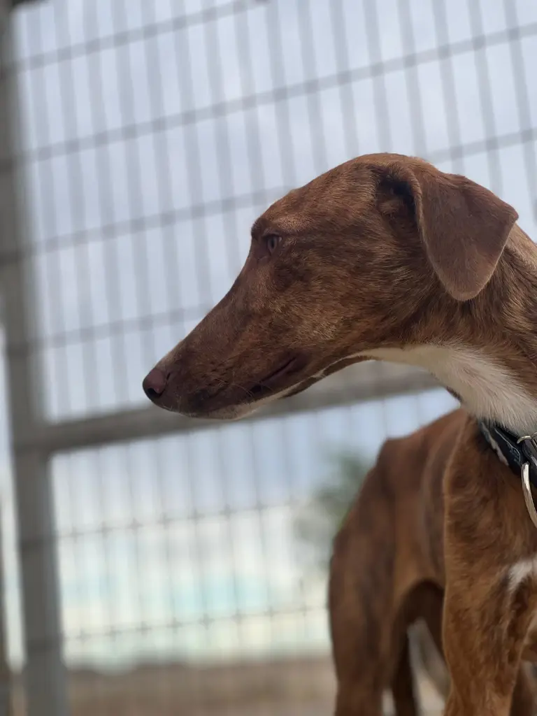 PHOTO-2025-01-22-13-04-29 (2).webp