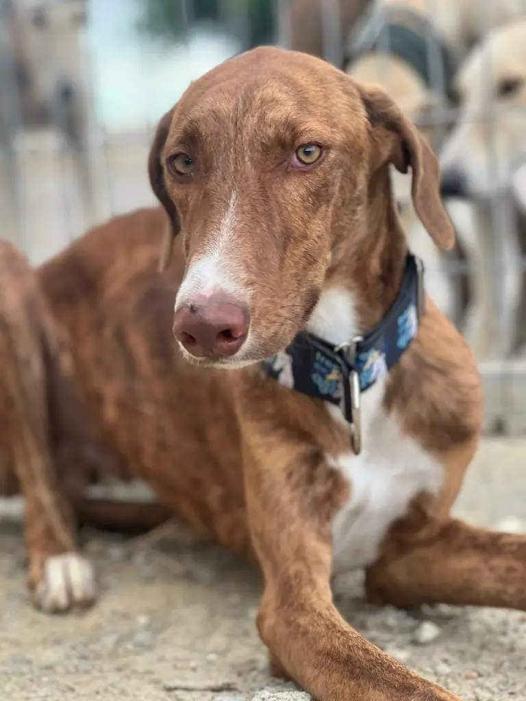 PHOTO-2025-01-22-13-04-29 (6).webp