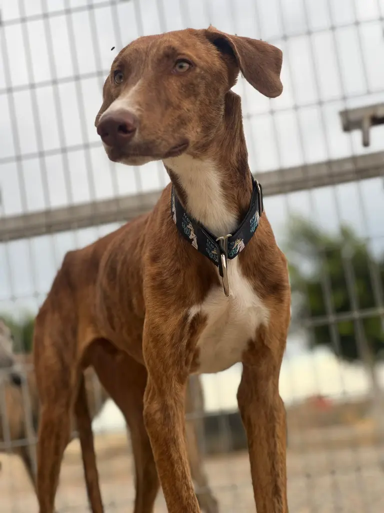 PHOTO-2025-01-22-13-04-29 (7).webp