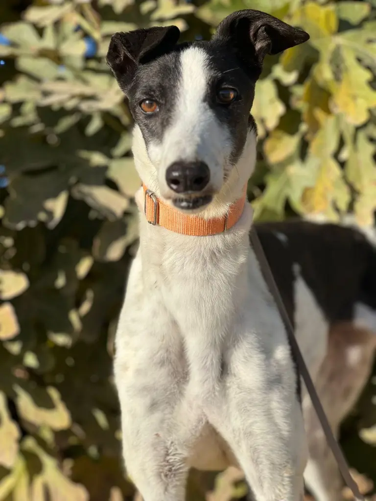 PHOTO-2025-01-15-13-10-30 (1).webp