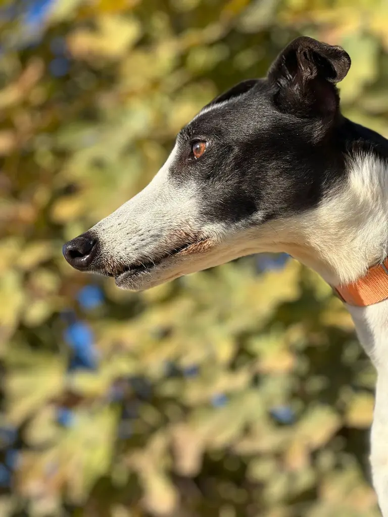 PHOTO-2025-01-15-13-10-30 (4).webp