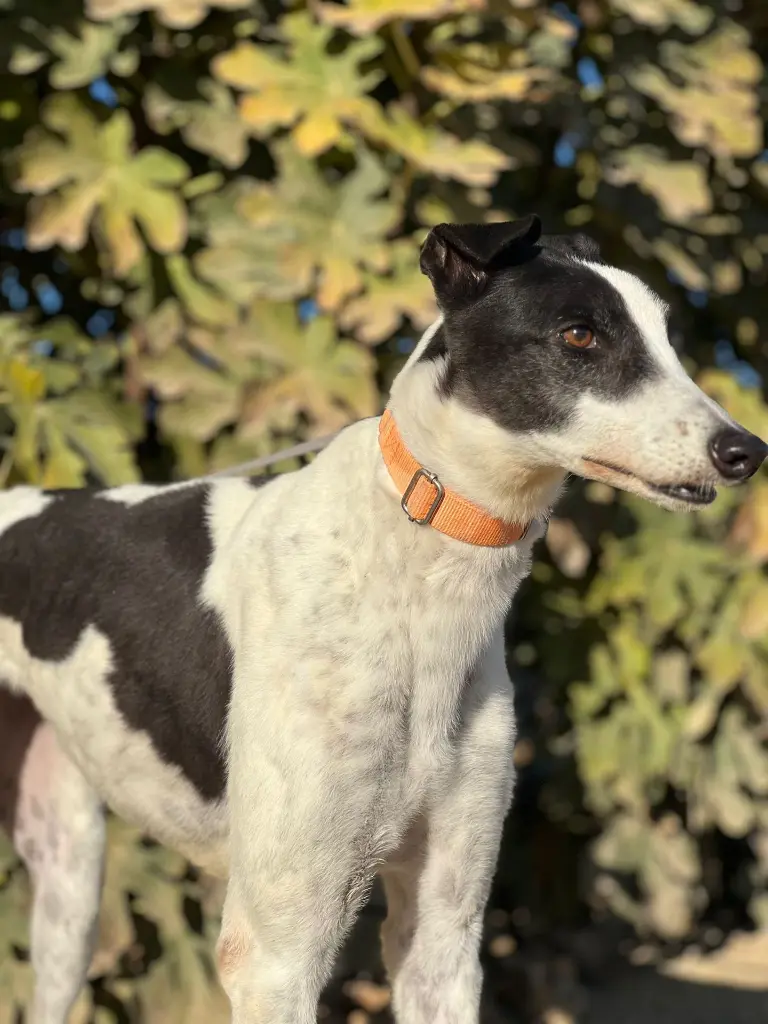 PHOTO-2025-01-15-13-10-30 (5).webp