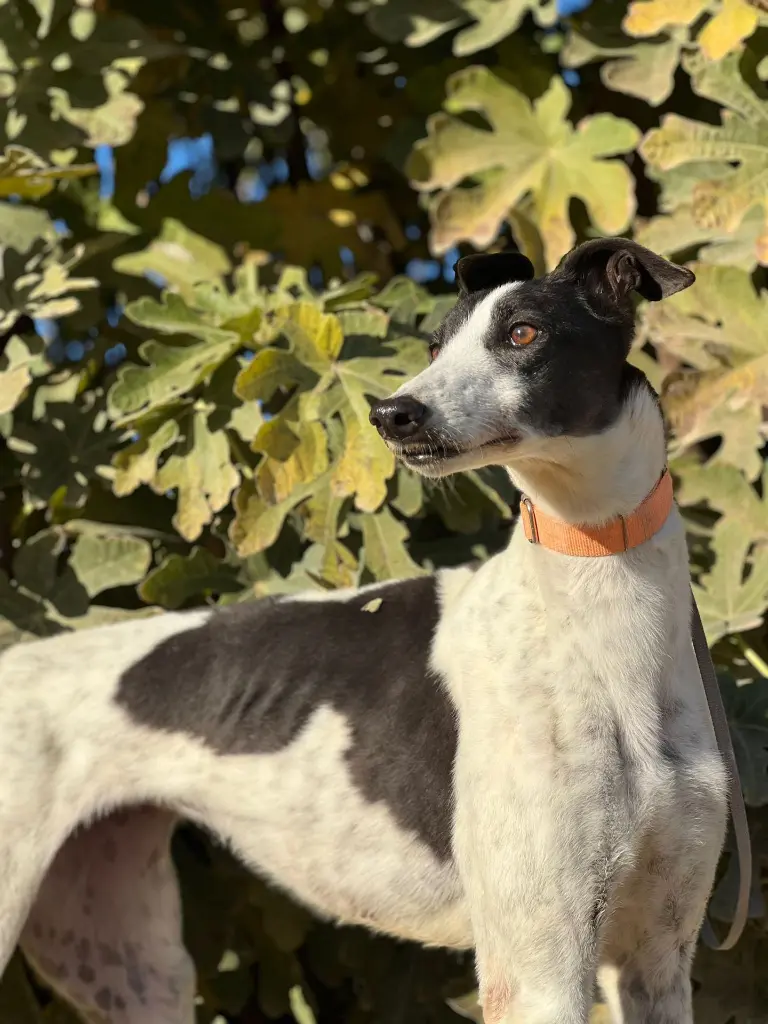 PHOTO-2025-01-15-13-10-30 (6).webp